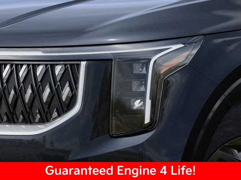New 2026 Panthera Metal Kia LXS image 12