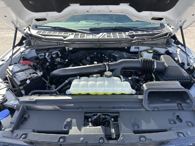 New 2024 Oxford White Ford XLT image 27
