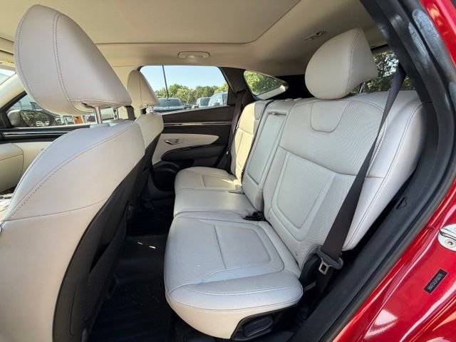 Used 2023 Red Hyundai Limited image 17