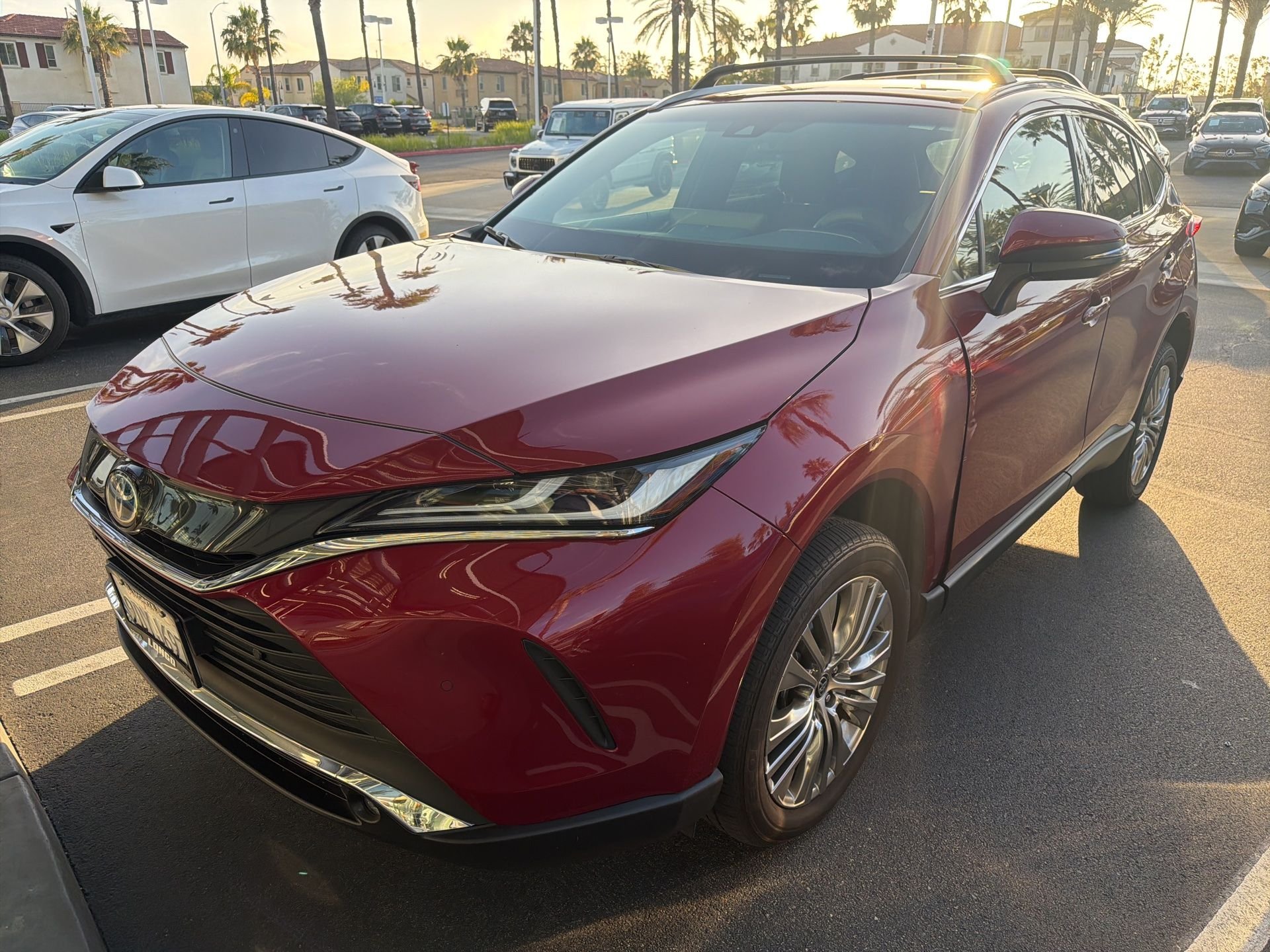 2023 Toyota Venza's photo