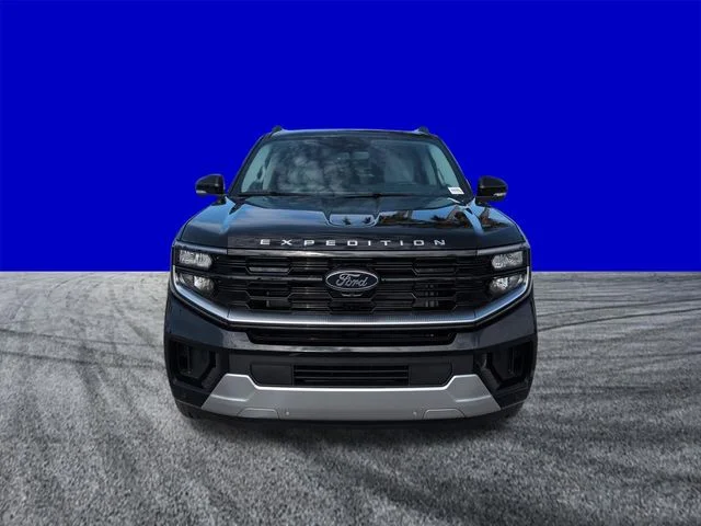 New 2026 Black Ford Platinum image 9