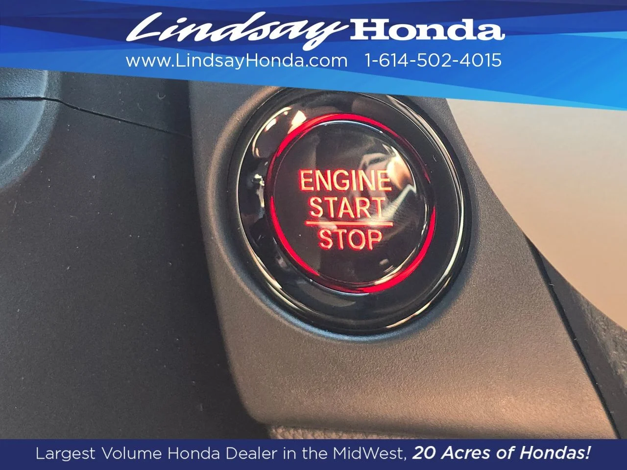 New 2027 Platinum White Pearl Honda LX image 22