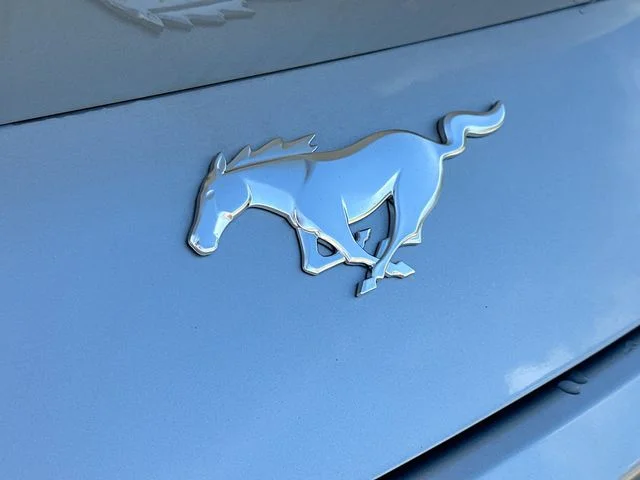 New 2025 Silver Metallic Ford EcoBoost image 17