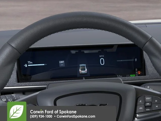 New 2026 Shadow Black Ford Premium image 13