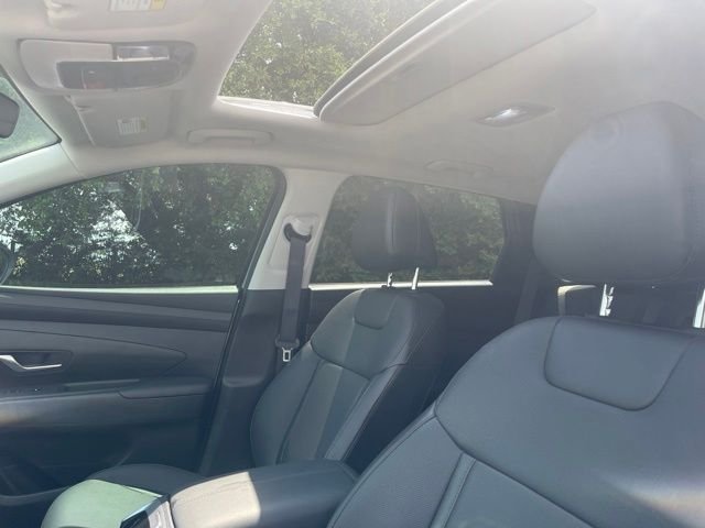 Used 2025 Silver Hyundai SEL Convenience image 11