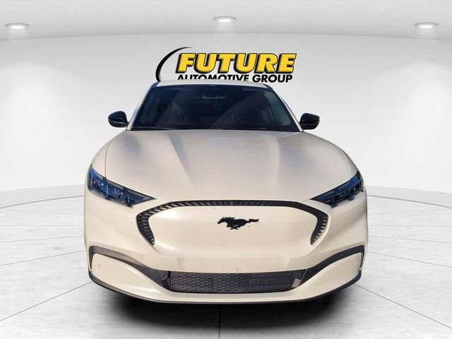 Used 2024 White Ford Select image 2