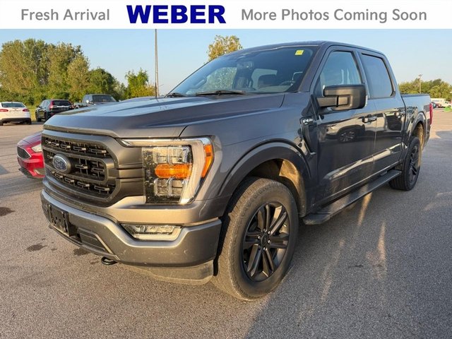 2023 Ford F-150 XLT 4WD SuperCrew 5.5' Box