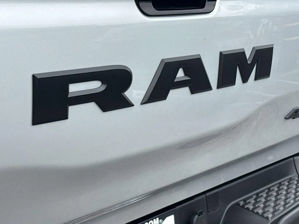 New 2026 Silver Zynith Exterior Paint RAM RHO image 6
