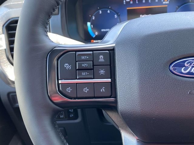 2025 Ford F-150 Platinum - Photo 20