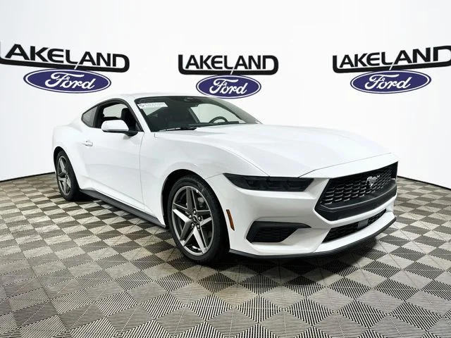 New 2026 White Ford EcoBoost image 1