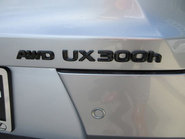New 2026 Iridium Lexus 300h Premium image 15