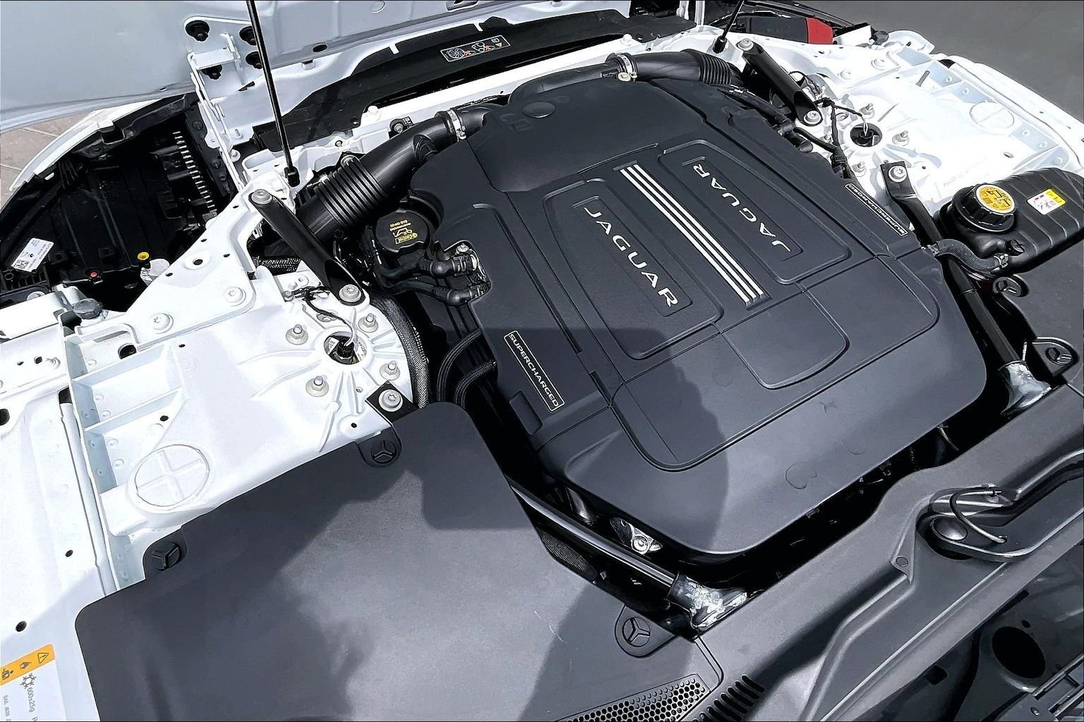New 2024 Fuji White Jaguar P450 image 11