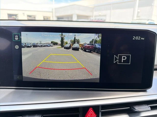 New 2026 Panthera Metal Kia LX image 13