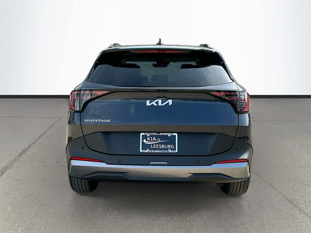 New 2026 Panthera Metal Kia EX image 6