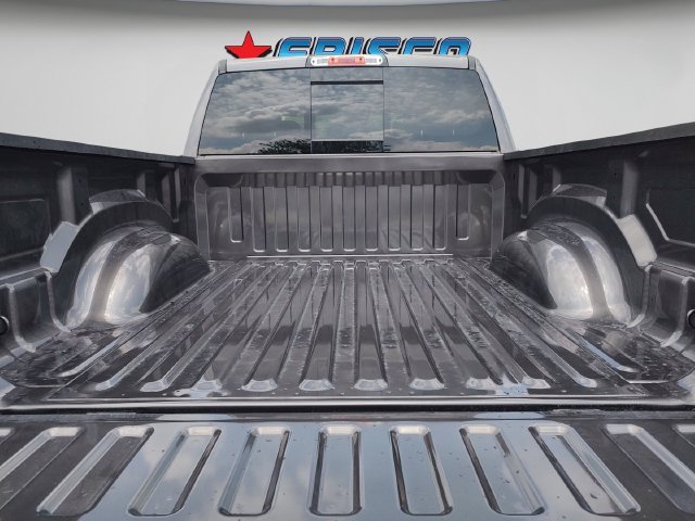 New 2026 Granite Crystal Metallic Clear-Coat Exterior Paint RAM Big Horn/Lone Star image 31