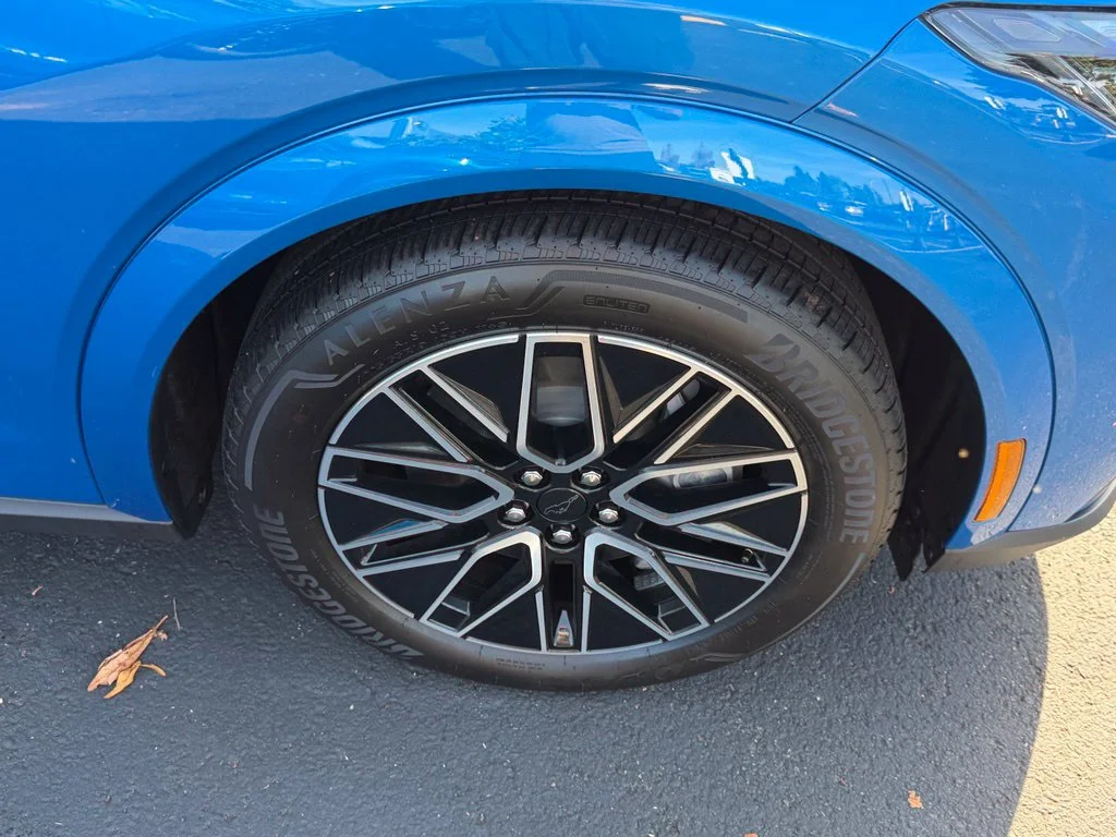 New 2026 Velocity Blue Metallic Ford Premium image 6