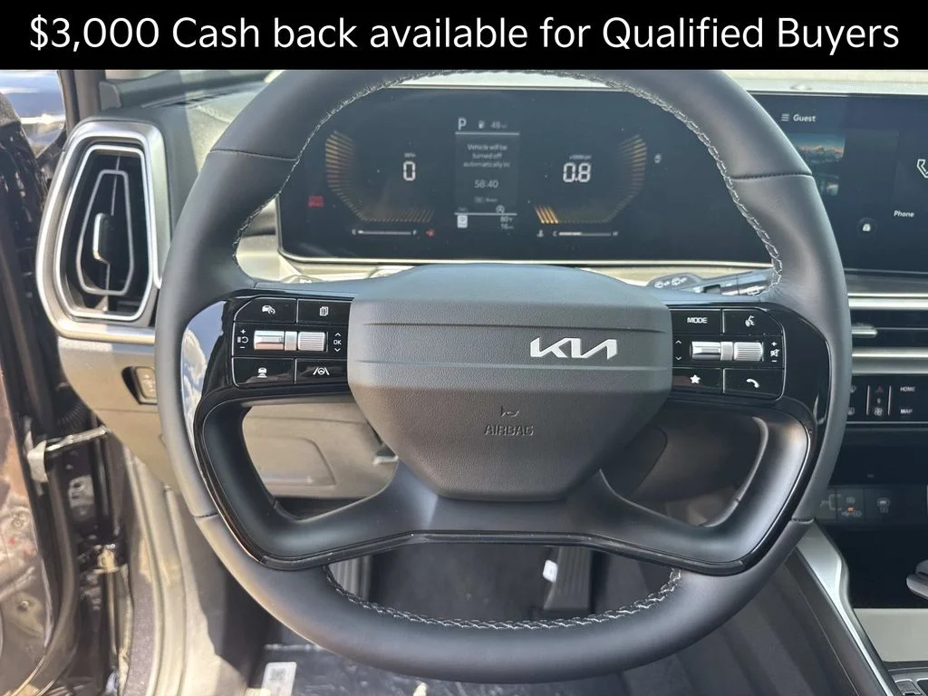 New 2026 Panthera Metal Kia LX image 10