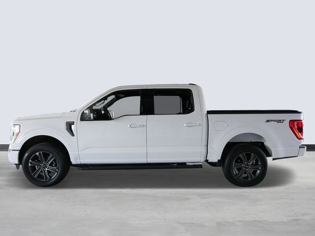 Certified Used 2023 Oxford White Ford XLT image 2