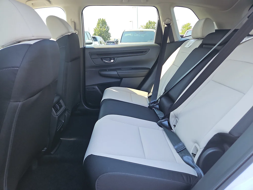 New 2027 Platinum White Pearl Honda LX image 20