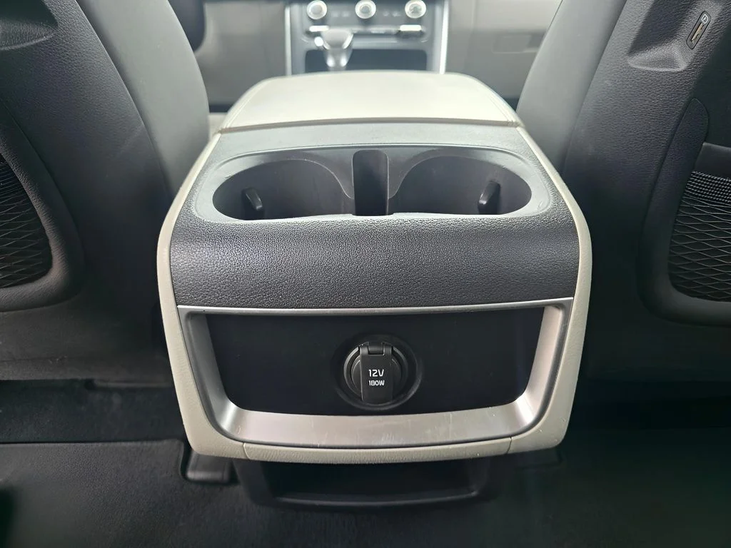Used 2022 Pantera Metal Kia LX image 12
