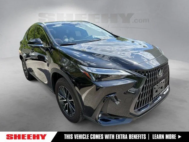 2024 Lexus NX
