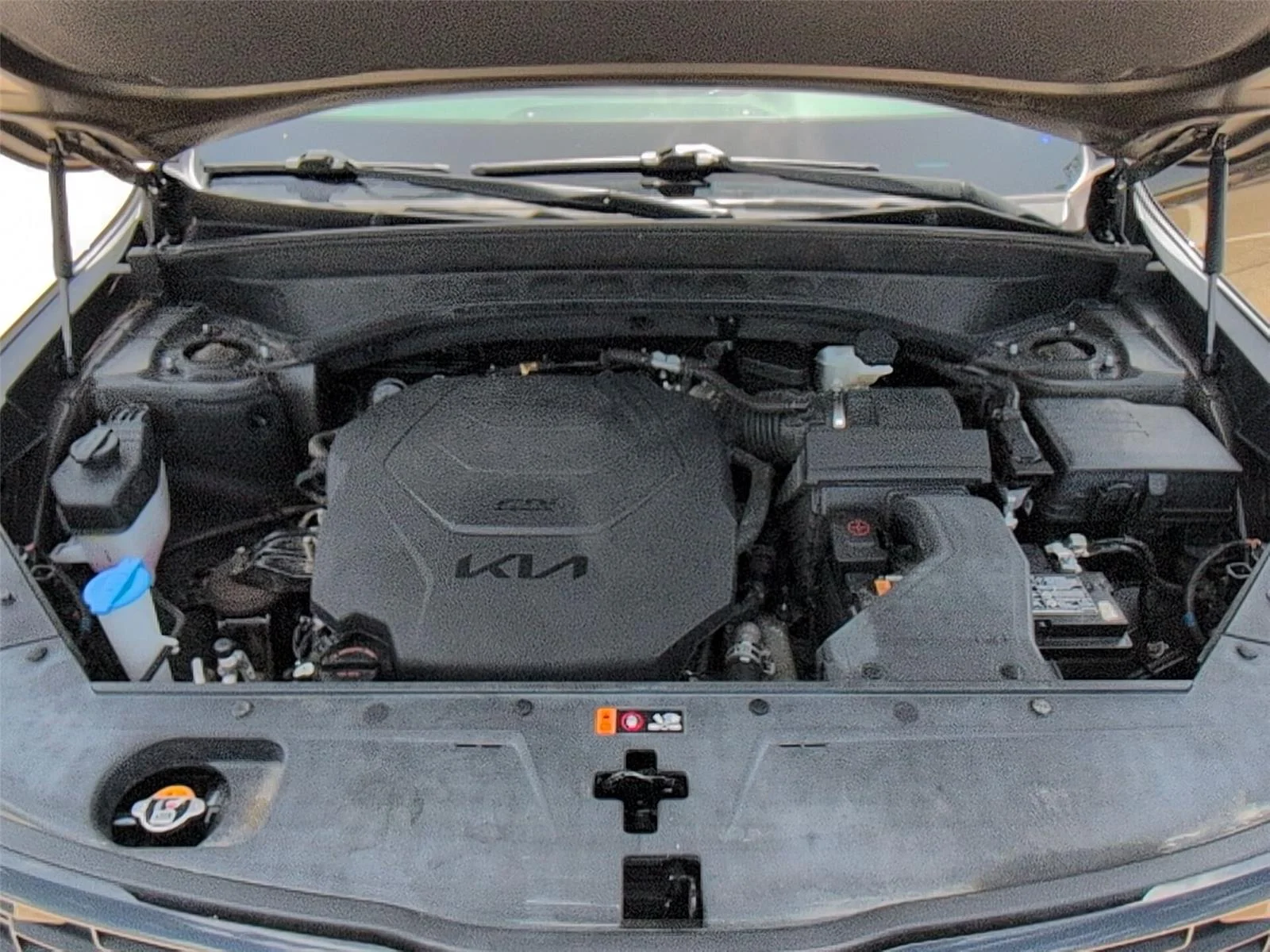 Used 2022 Dark Moss Kia SX image 37