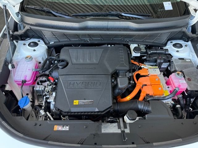 New 2026 Snow White Pearl Kia EX image 11