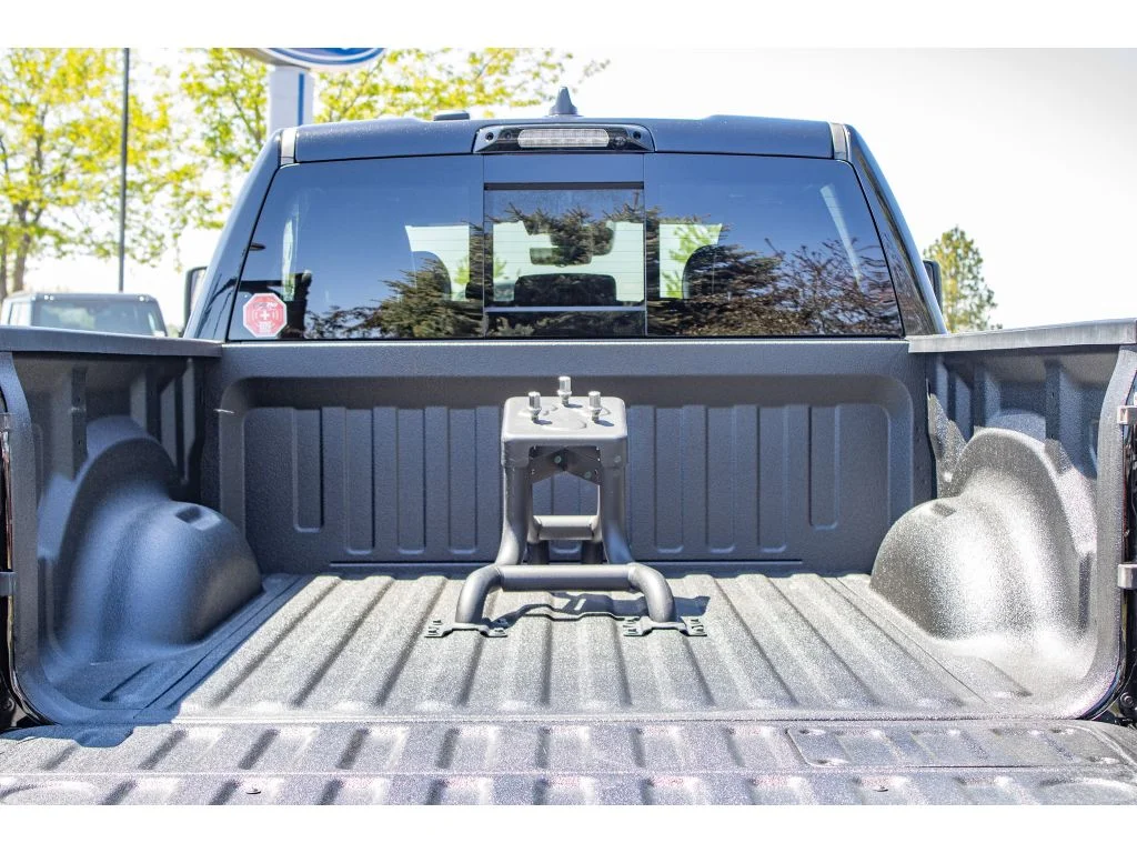 Used 2025 BLACK Ram RHO image 12