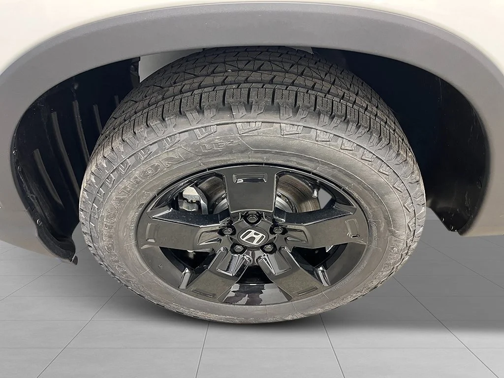 New 2026 White Honda Black Edition image 11