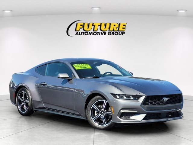 Used 2024 Gray Ford EcoBoost Premium image 1