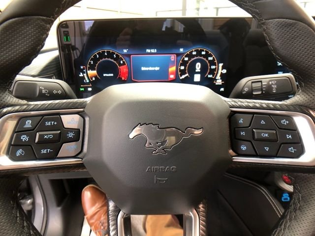 2025 Ford Mustang EcoBoost Premium Fastback - Photo 13