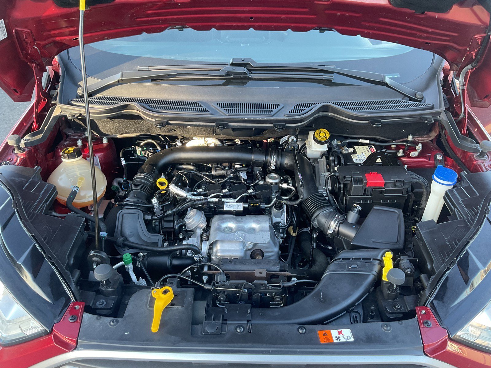 Used 2019 Ruby Red Metallic Ford SE image 11