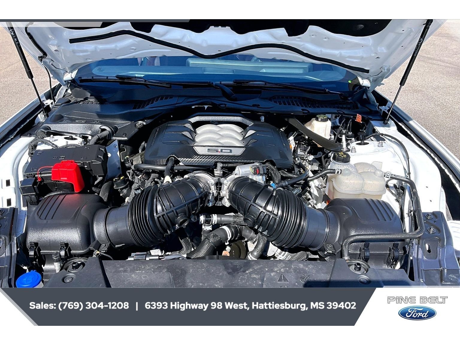 Used 2025 Oxford White Ford GT Premium image 8
