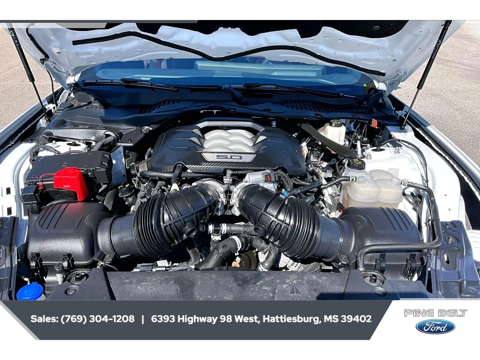 Used 2025 Oxford White Ford GT Premium image 8