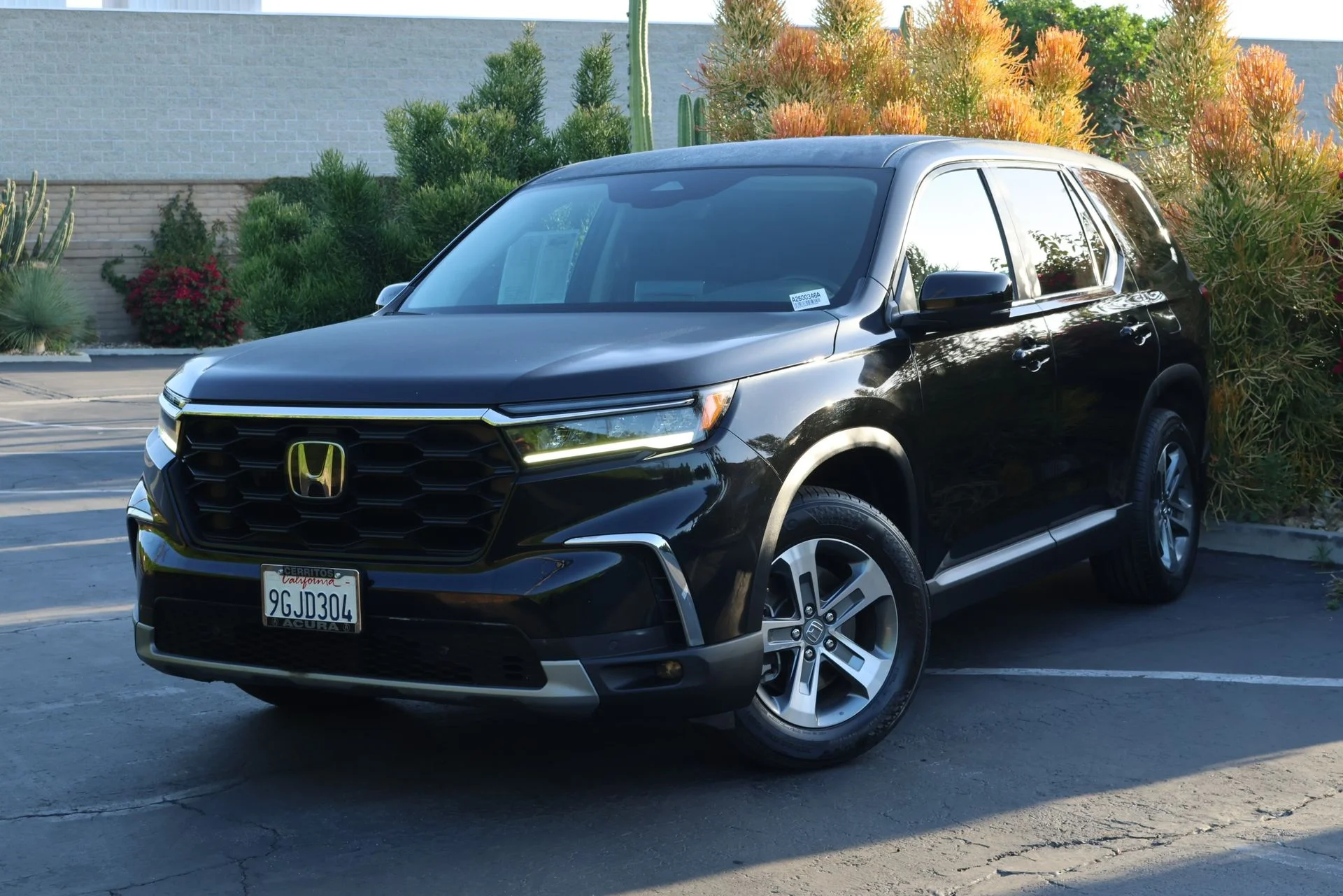 2023 Honda Pilot EX-L 8-Occupant 2WD's photo