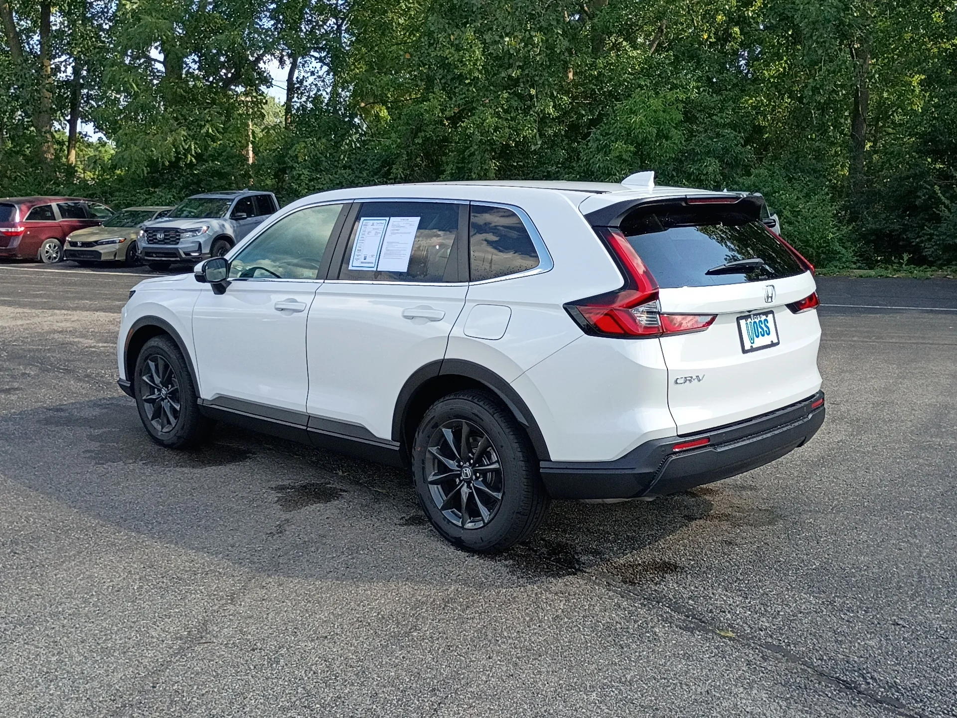 Certified Used 2026 PLATINUM WHITE Honda EX-L image 5