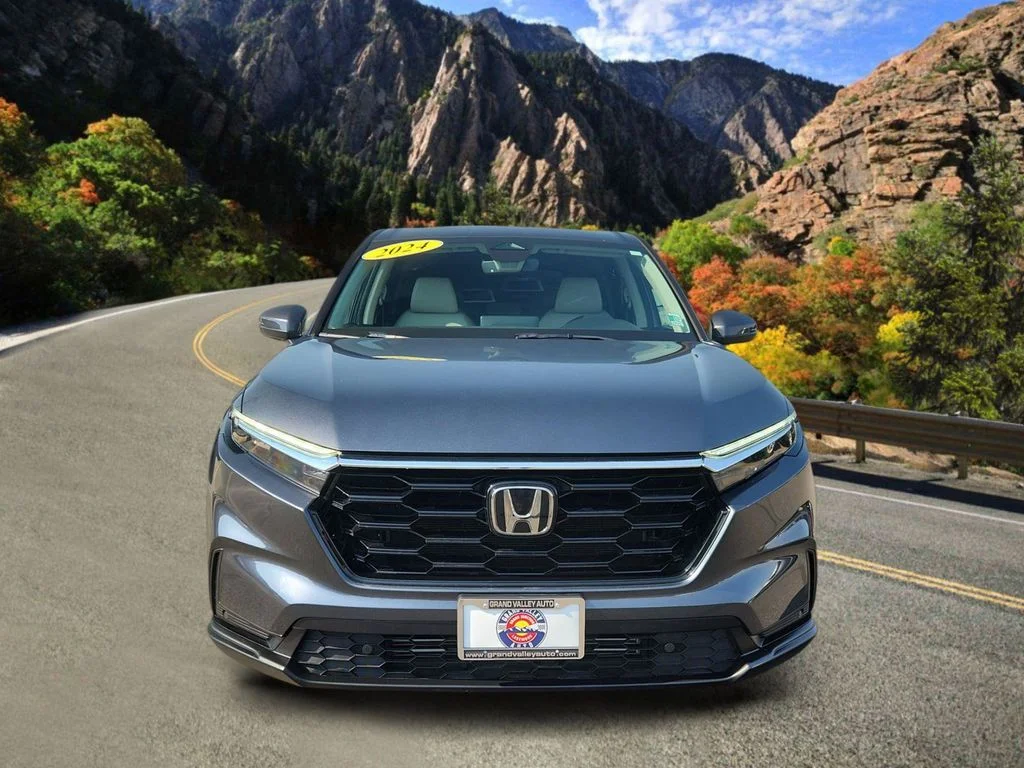Used 2024 Gray Honda EX-L image 6