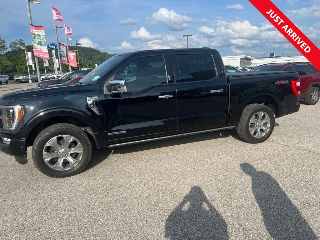 Used 2021 Black Ford Platinum image 1