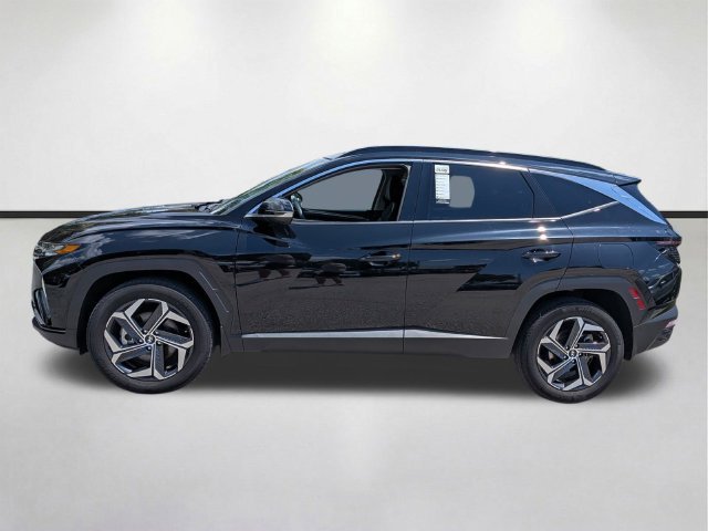 Used 2024 Black Pearl Hyundai Limited image 9