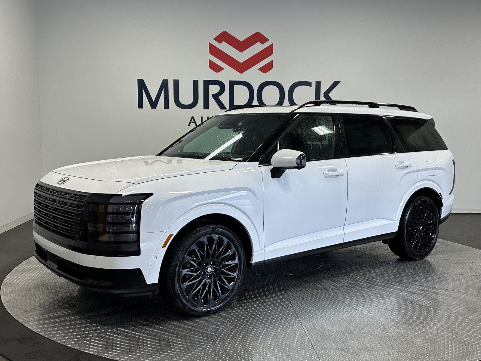 New 2027 Creamy White Pearl Hyundai Calligraphy Black Ink image 1