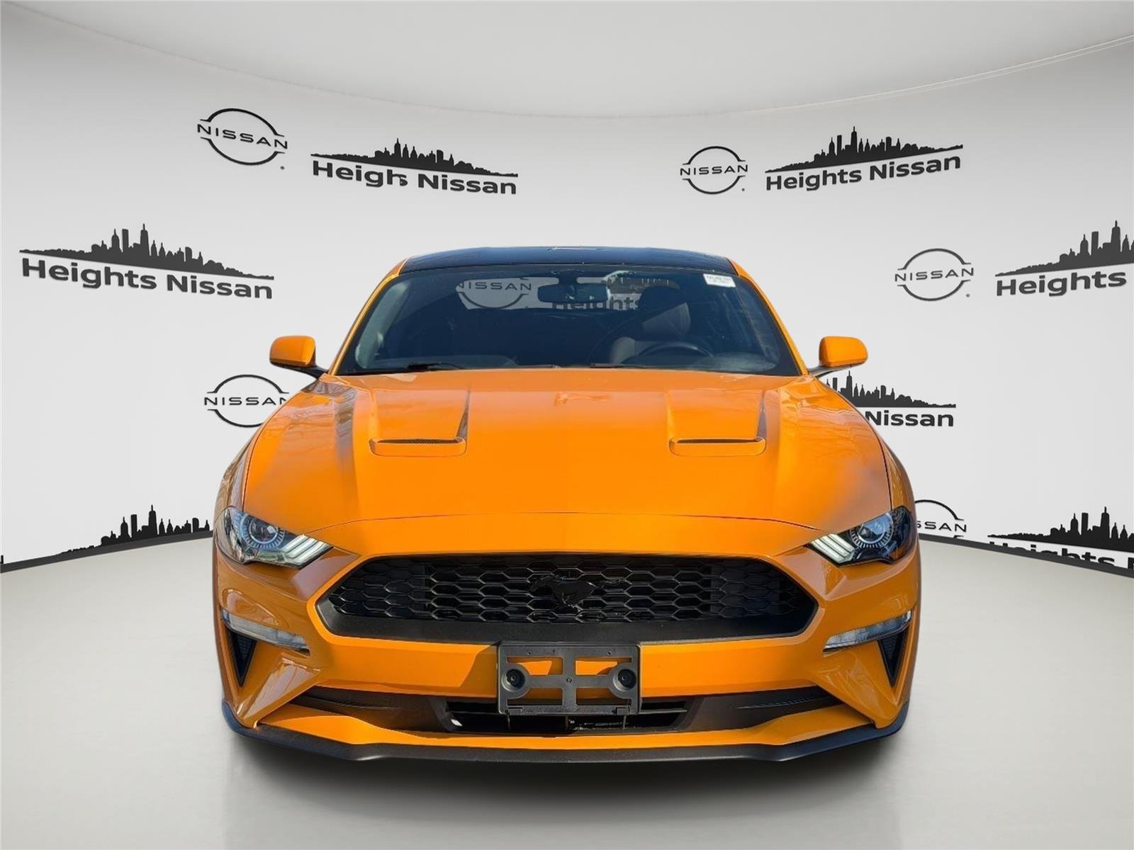 Used 2019 Ford Mustang EcoBoost with VIN 1FA6P8TH6K5176262 for sale in Jackson Heights, NY