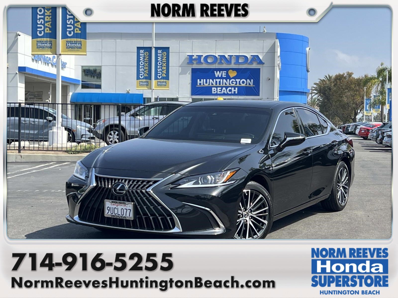 2025 Lexus ES 300h 300h's photo
