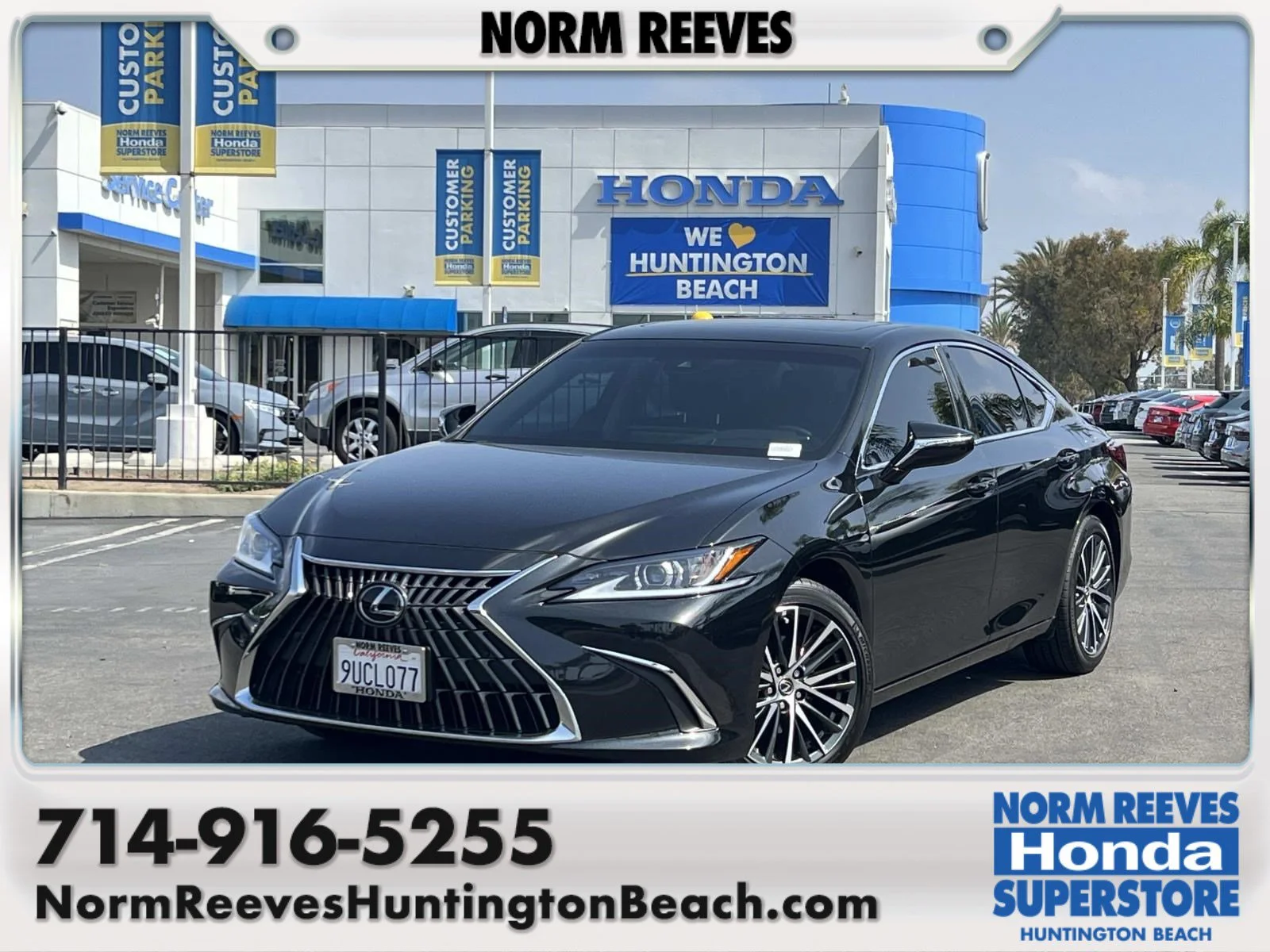 2025 Lexus ES 300h 300h's photo
