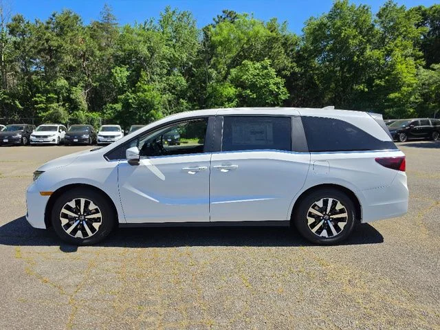 New 2026 Platinum White Pearl Honda EX-L image 3