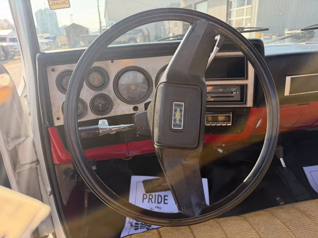 Used 1981 White Chevrolet W/T image 11