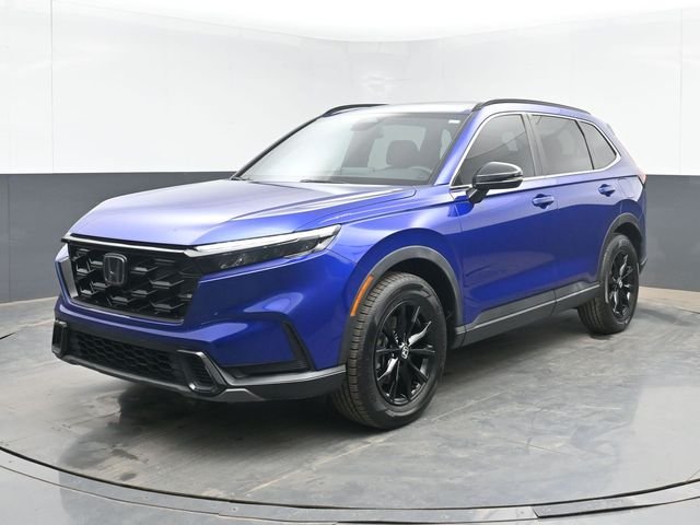 Used 2023 Blue Honda Sport image 4