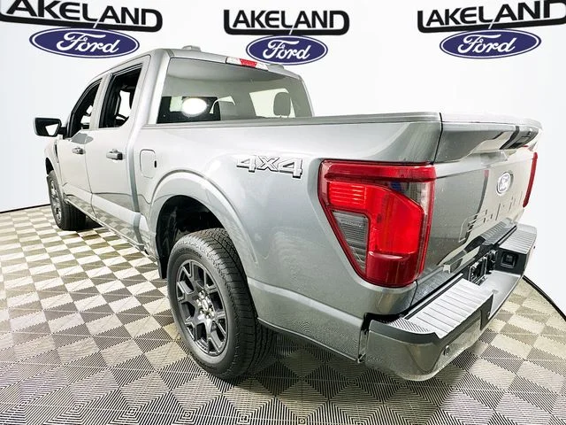 New 2026 Gray Ford STX image 6