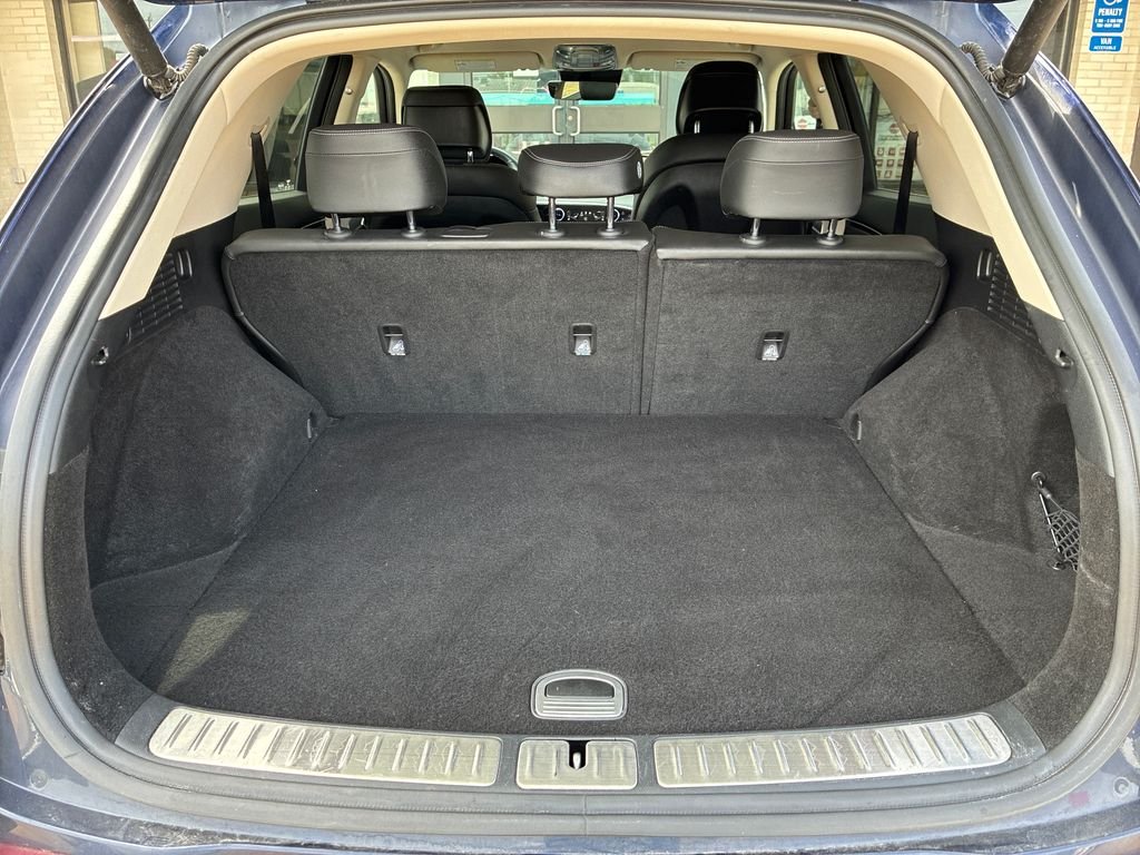 Used 2025 Blue Genesis 2.5T image 23