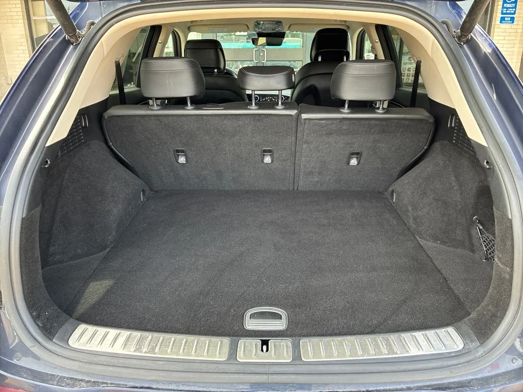 Used 2025 Blue Genesis 2.5T image 23