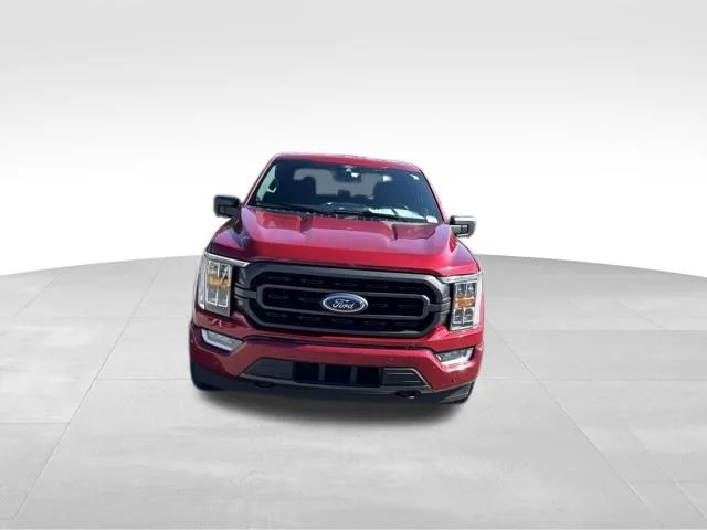 Used 2021 Red Ford XLT image 2